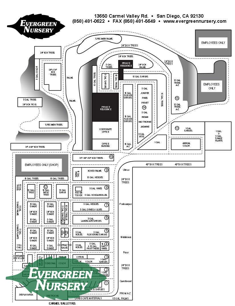 El Cajon Oceanside San Go Plant Nursery Evergreen Nursery Diagram