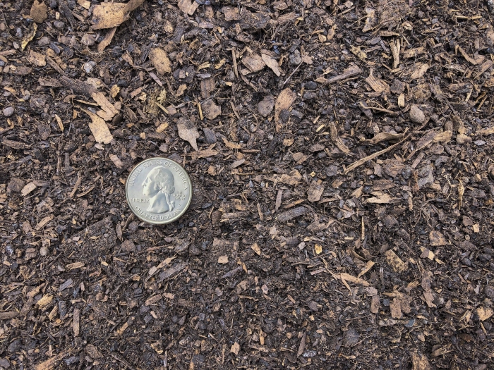 Wood Shavings Wood Shavings