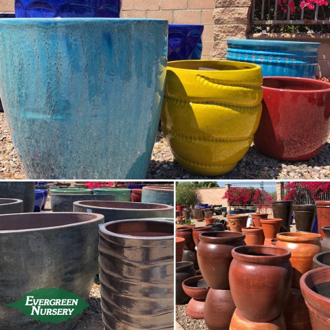 Tips For Container Gardening Evergreen Nursery Tips For Container Gardening
